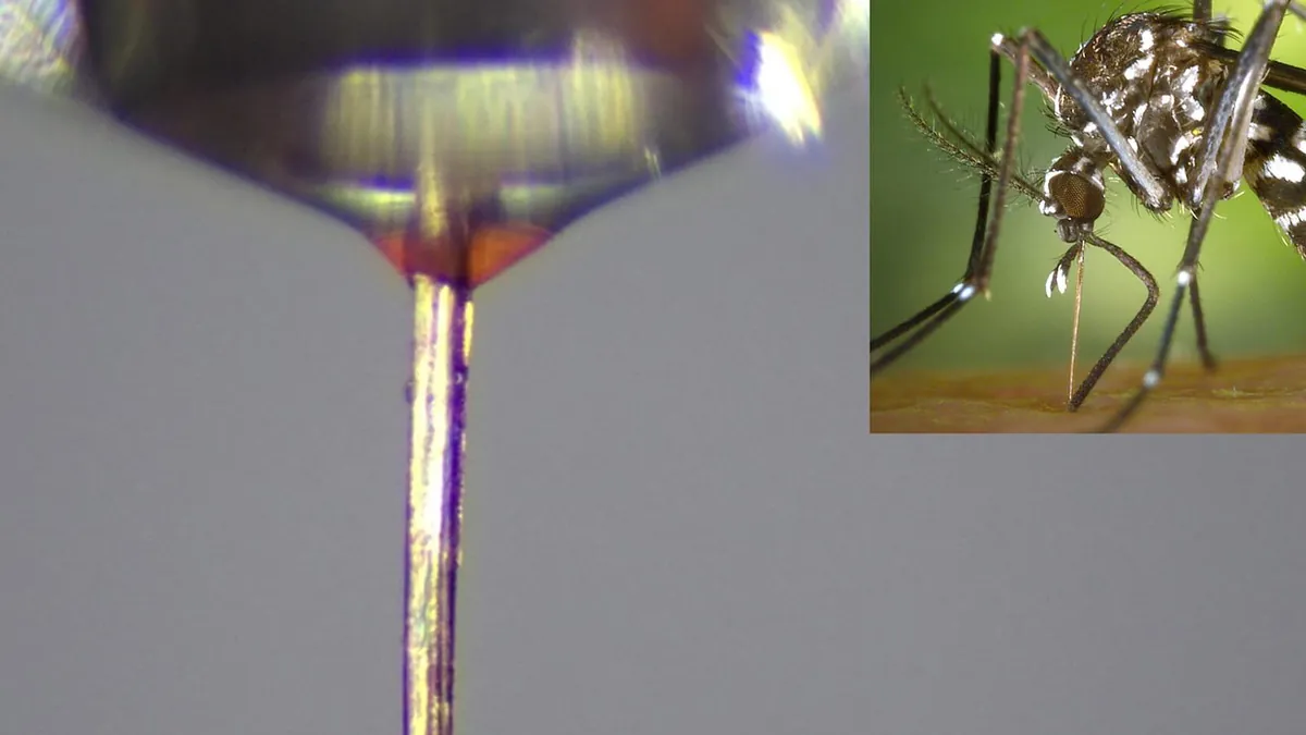 Foto microscópica de uma tromba de mosquito colada na ponta de um dispensador, formando um bico finíssimo; no canto, um mosquito Aedes pousado sobre a pele